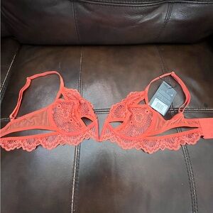 NWT THISTLE AND SPIRE Kane Bra in Chili